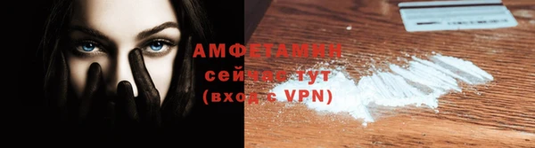 сатива Болотное