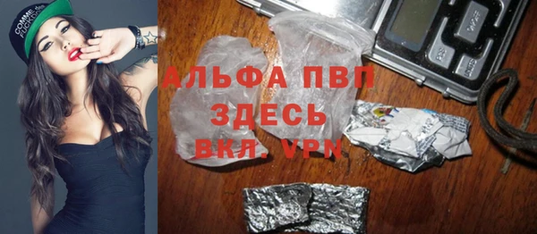 сатива Болотное