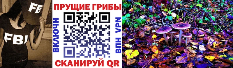 Галлюциногенные грибы мицелий  Гурьевск 