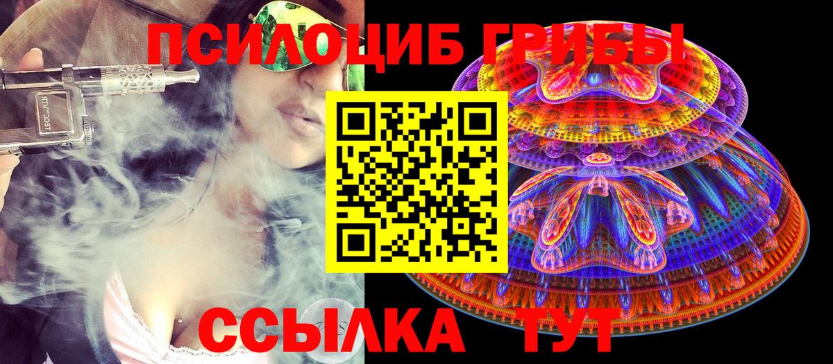 Галлюциногенные грибы прущие грибы Гурьевск