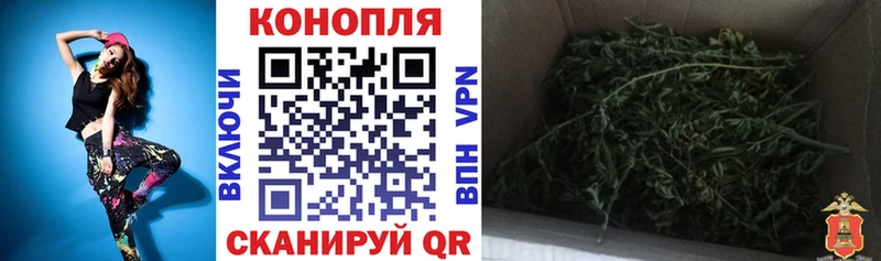 Марихуана SATIVA & INDICA  купить наркотики сайты  Гурьевск 